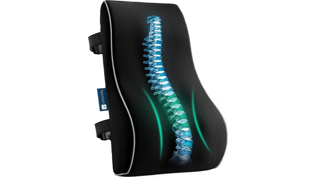 adjustable lumbar back support pillow