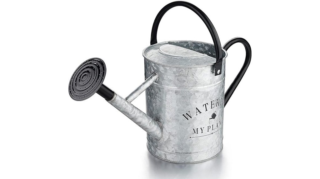 decorative metal watering can