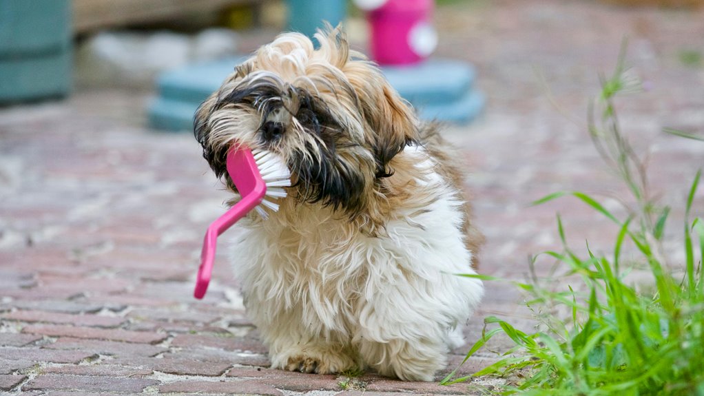 fur tastic grooming solutions for pets