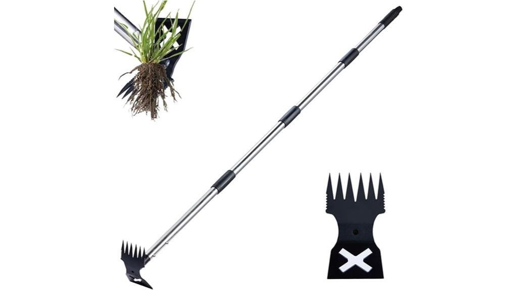 gardening weed removal tool