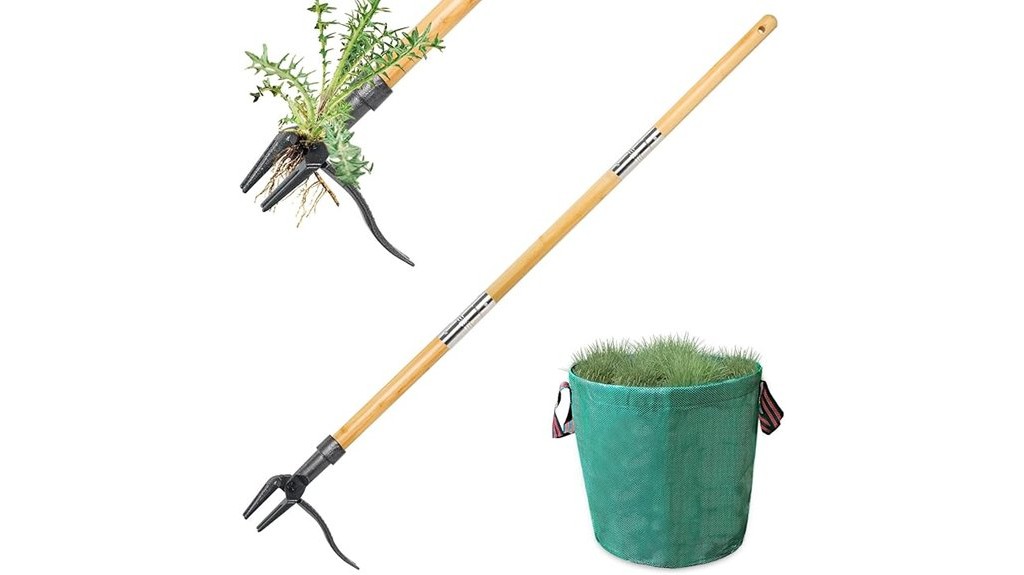 long handled weed removal tool