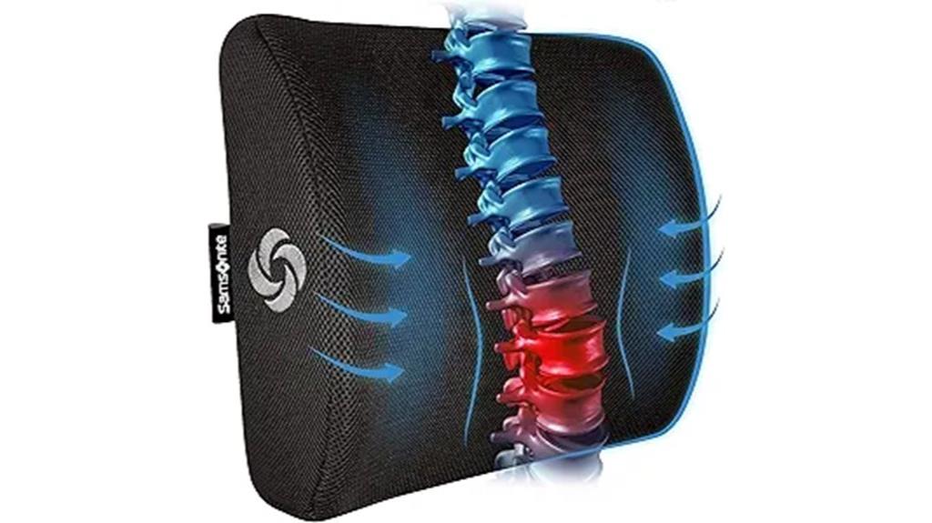 lumbar support office car pillow