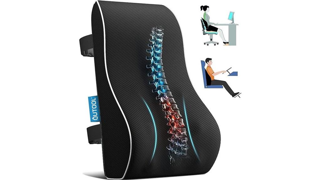 lumbar support pillow for offices