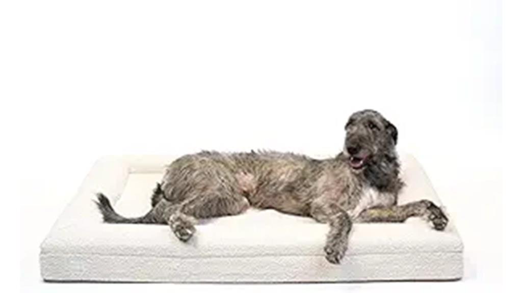 luxurious orthopedic memory foam dog bed