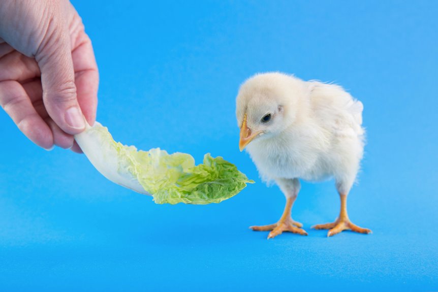 nutritious bird foods for joyful chirping