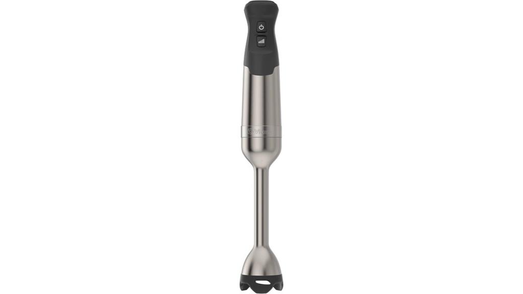 powerful high wattage immersion blender