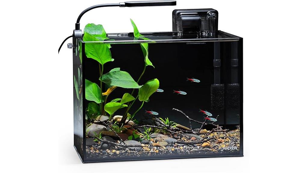 small fish nano aquarium