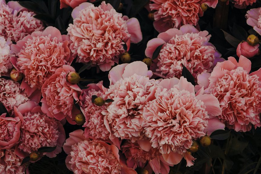 stunning garden mulch options for 2025