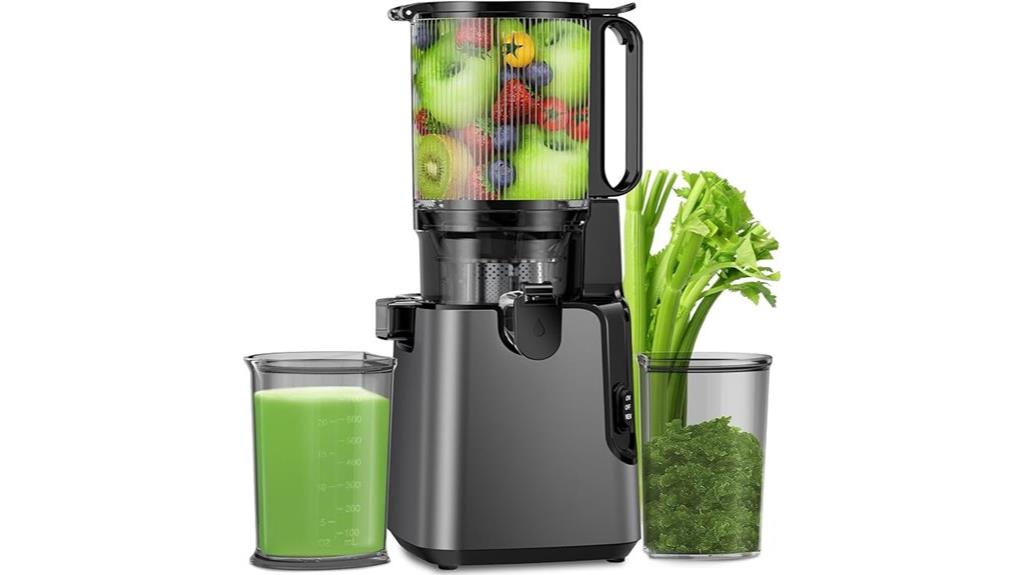 whole fruit cold press juicer