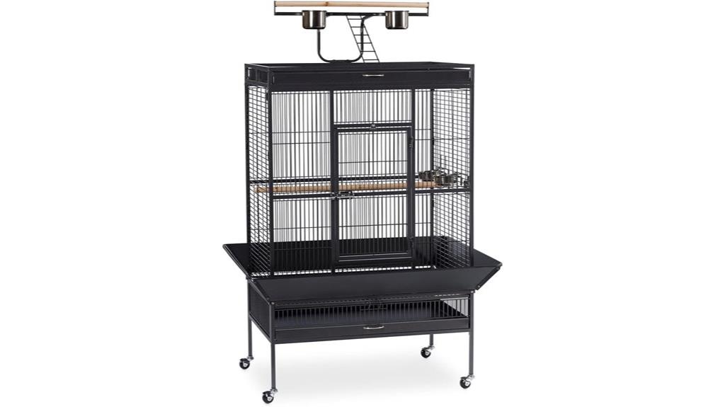 wrought iron bird cage