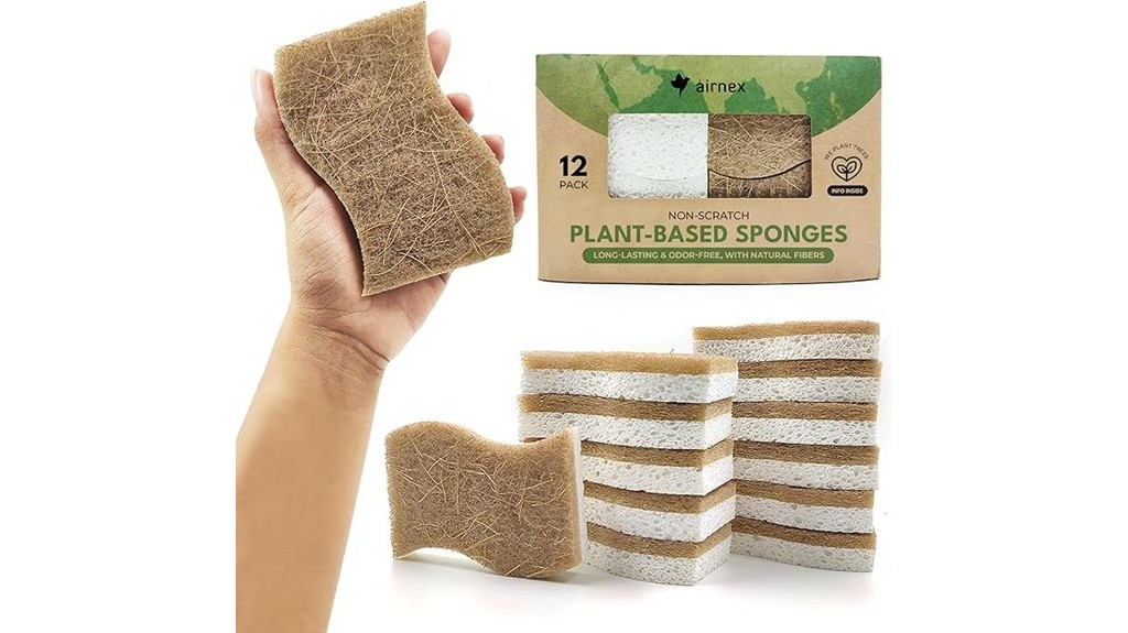 biodegradable coconut cellulose sponges