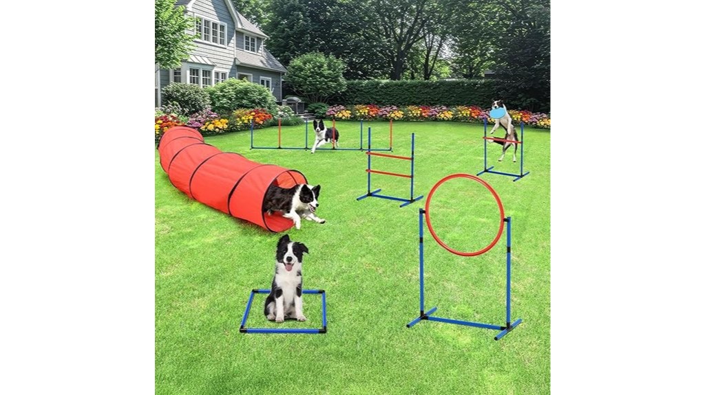 accessories for dog agility training