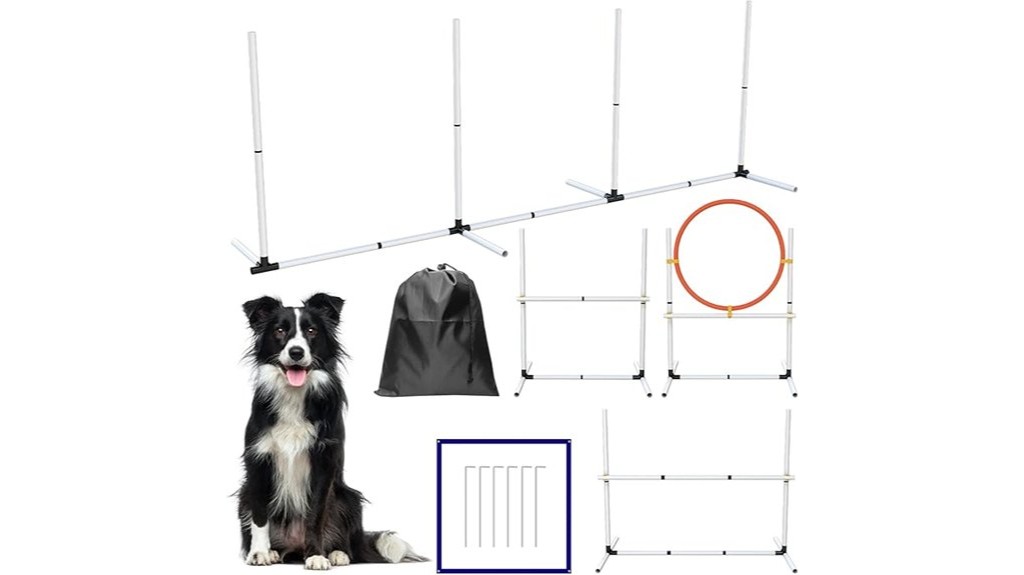 backyard dog agility equipment set