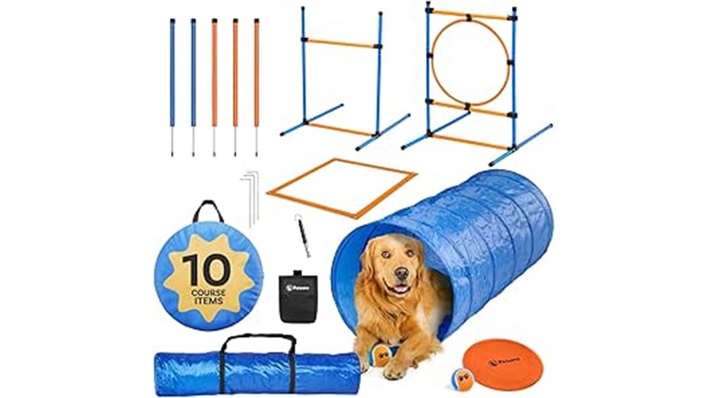canine obstacle course training equipment