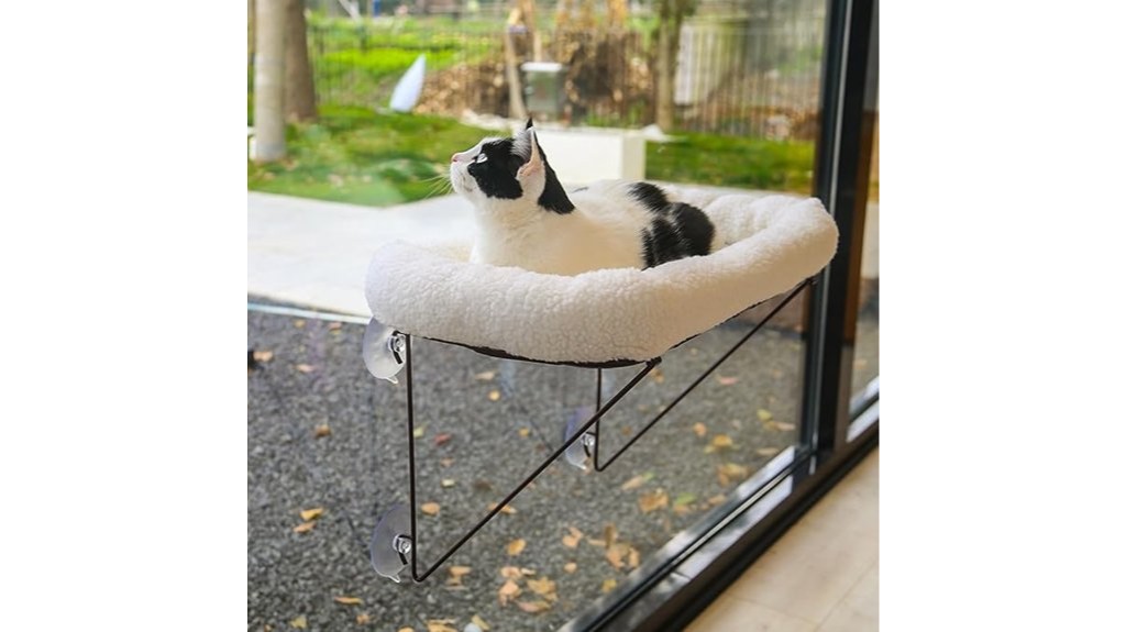 cat resting on window