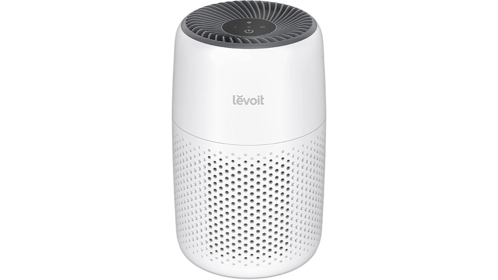 compact air purifier for home