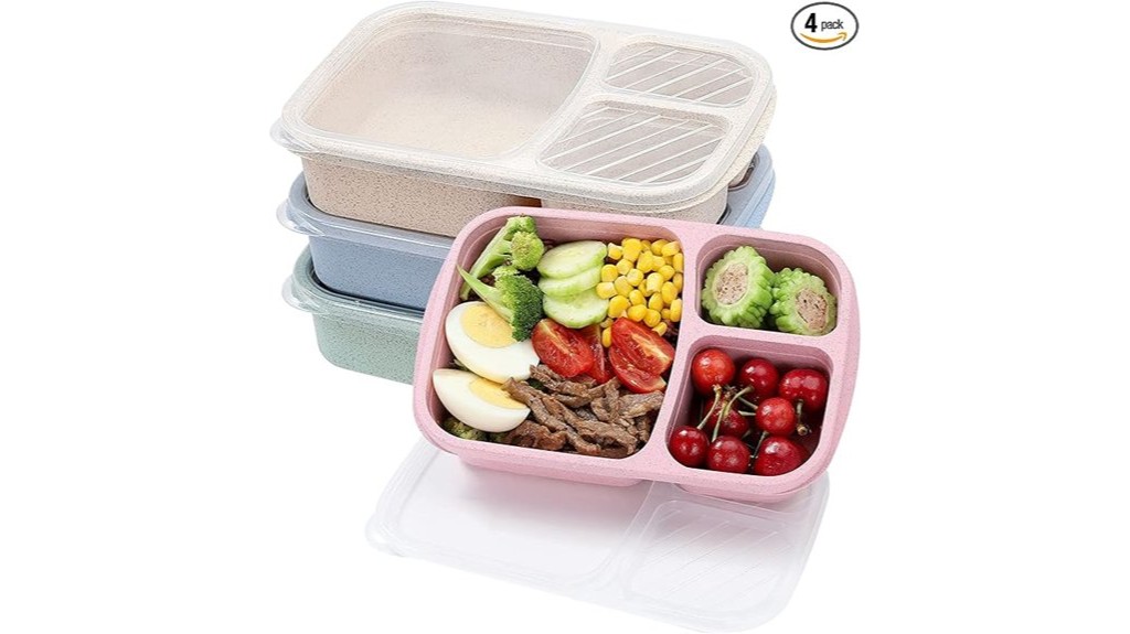 compartmentalized portable lunchbox set