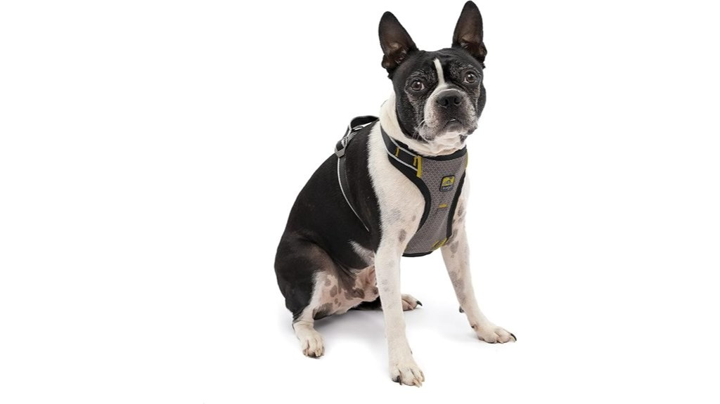 crash tested dog car harness