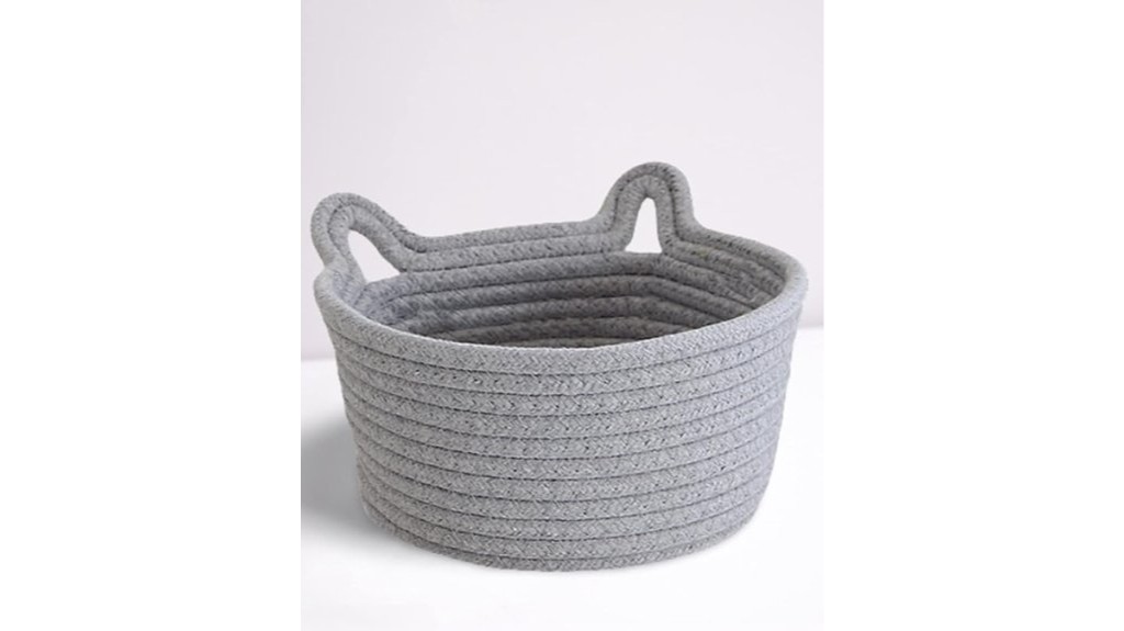 diminutive feline accessory storage solution