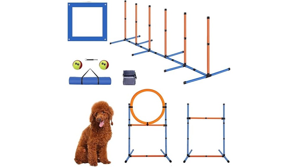 dog agility equipment set