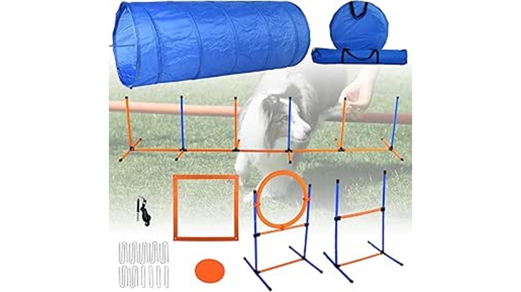 dog agility training equipment