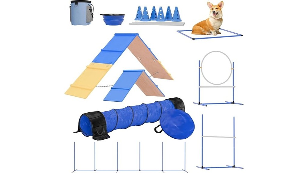 dog agility training equipment