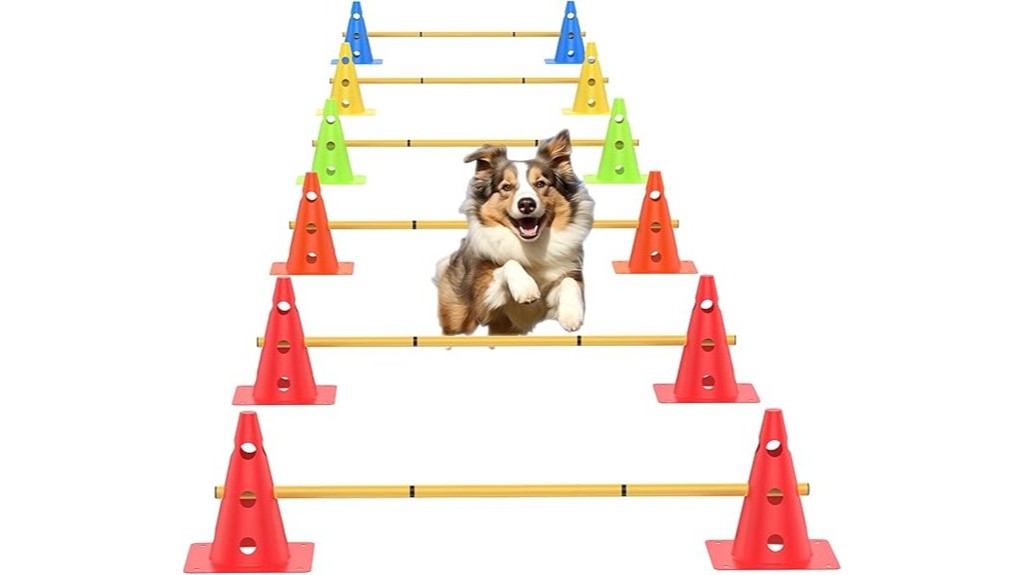 dog agility training equipment