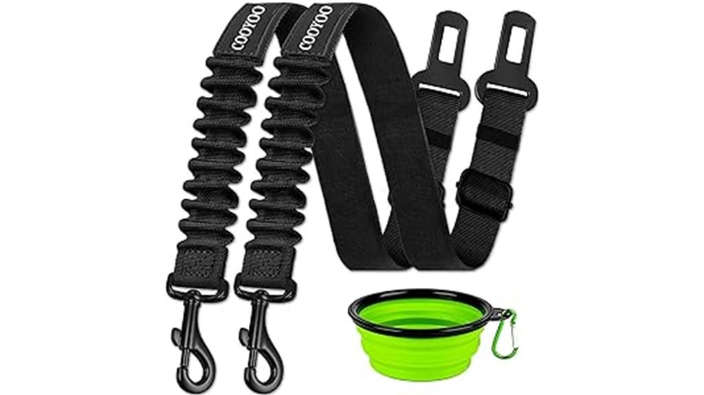 dog car safety set