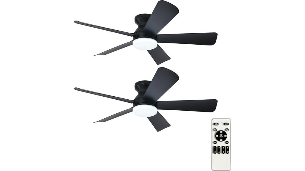dual ceiling fans with lighting