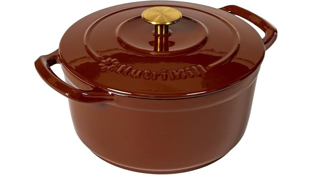 enameled cast iron dutch oven