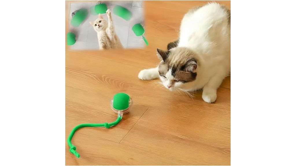engaging feline playthings for indoors