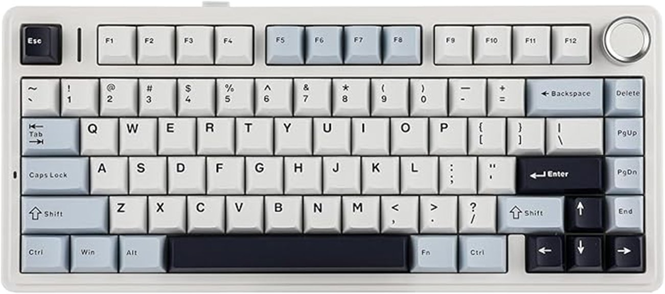 gasket blue reaper keyboard