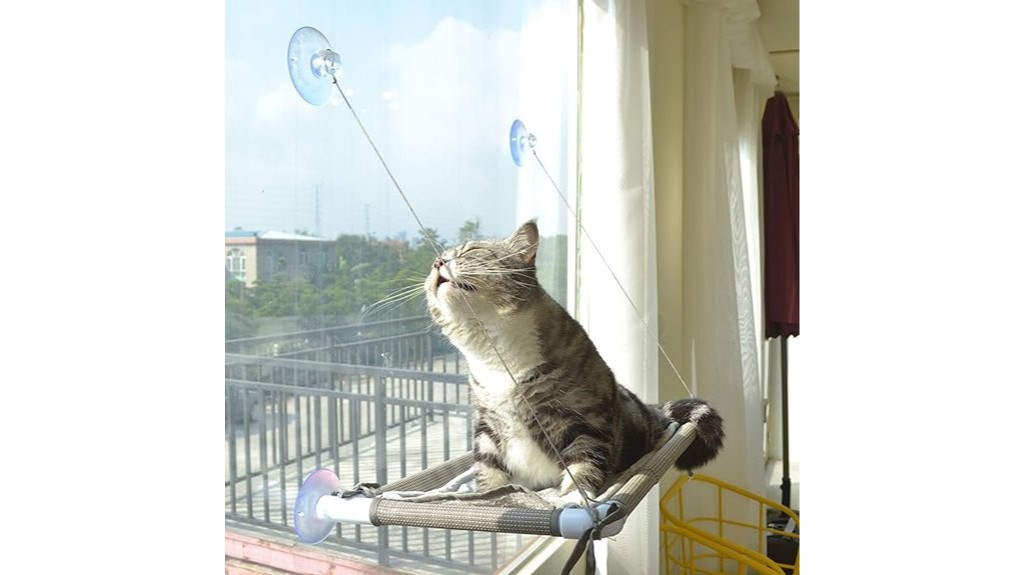 hammock for large feline companions