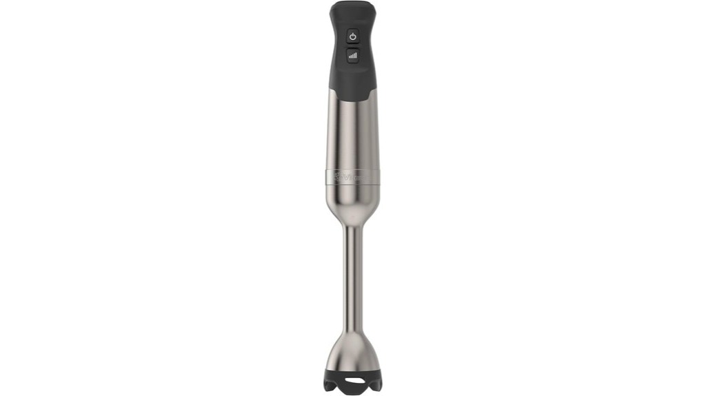 high power immersion blender