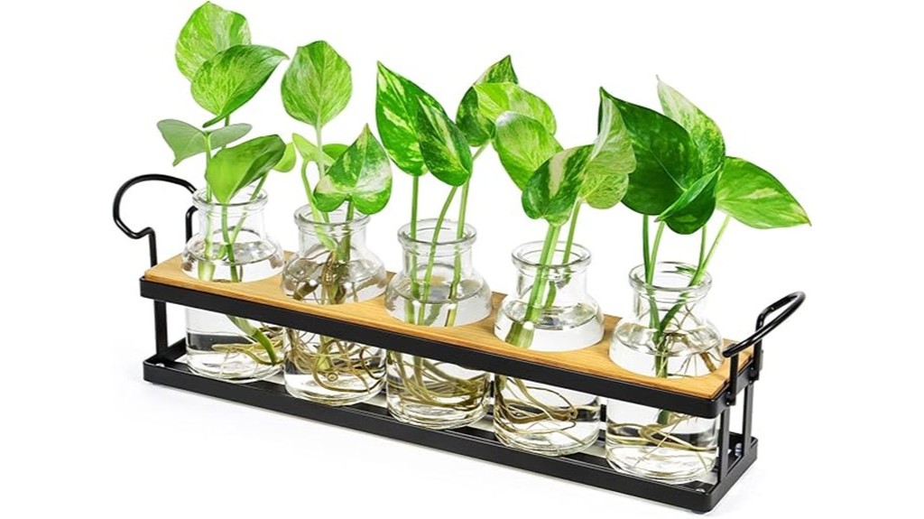 metal stand plant propagation