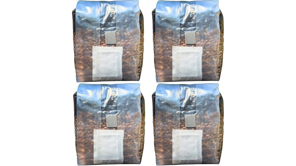 mushroom cultivation kits for magic mushrooms