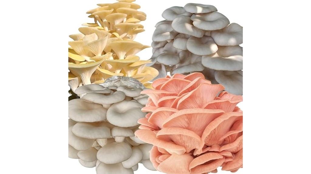 mushroom grow kits all in one