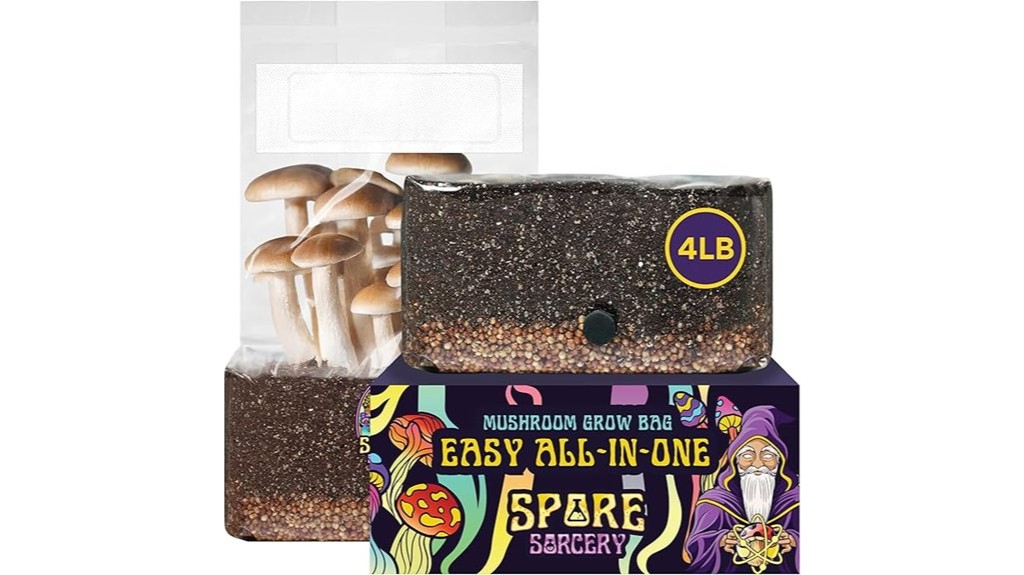mushroom growth kit for beginners
