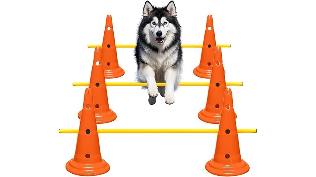 orange agility hurdle cones