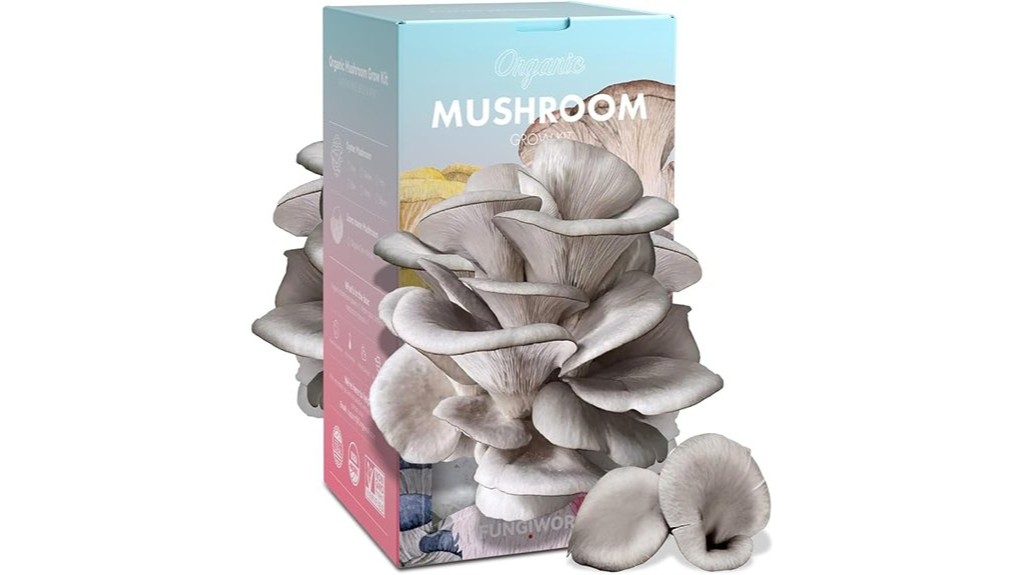 organic edible oyster mushroom