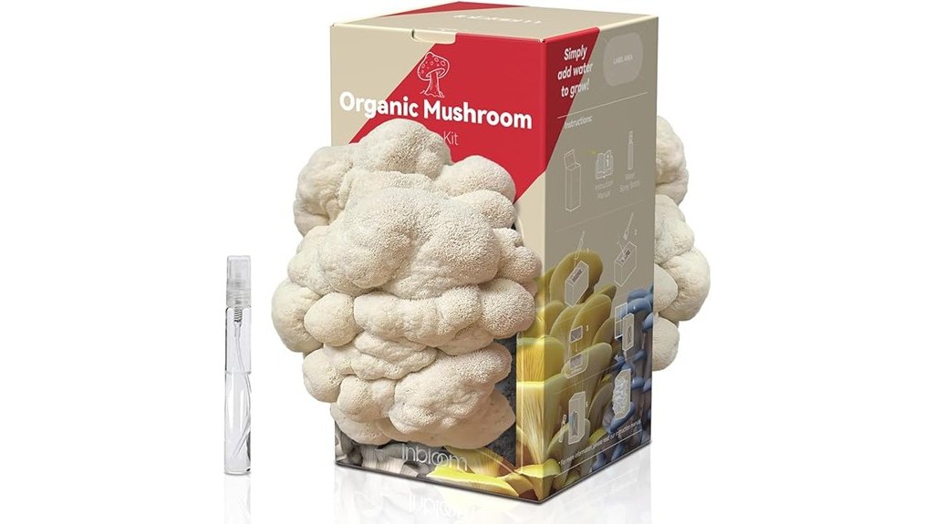 organic lions mane mushroom growing kit