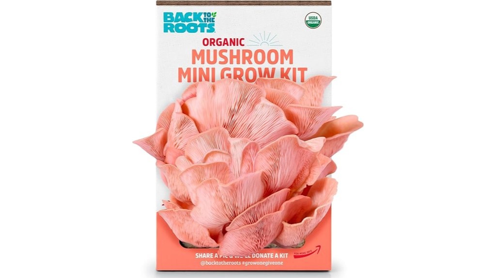 organic miniature pink mushroom grow kit
