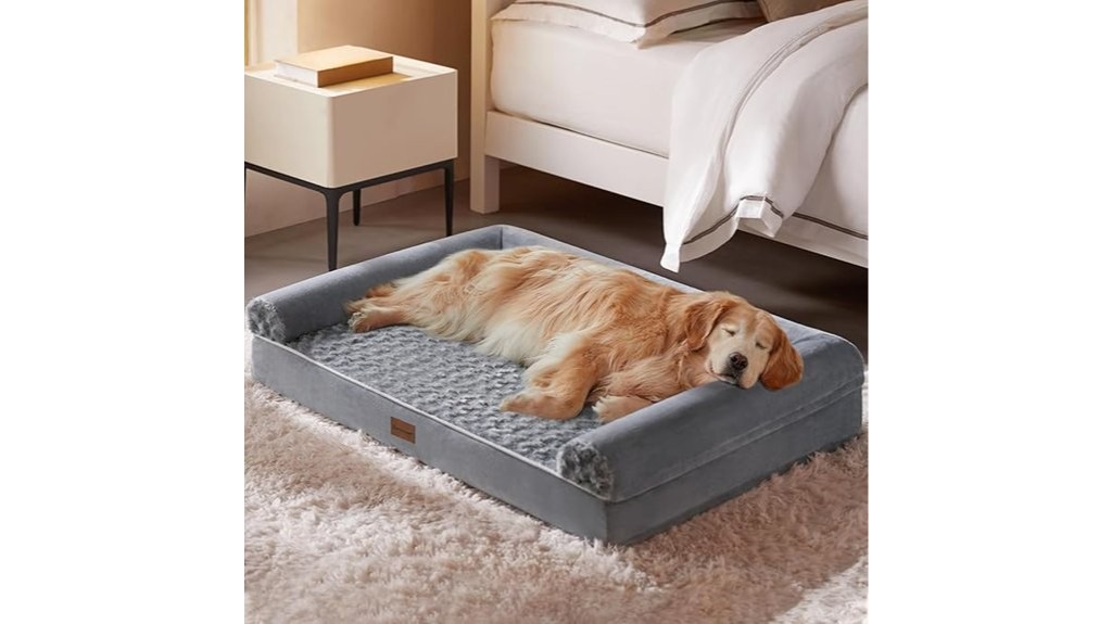 orthopedic medium large dog bed