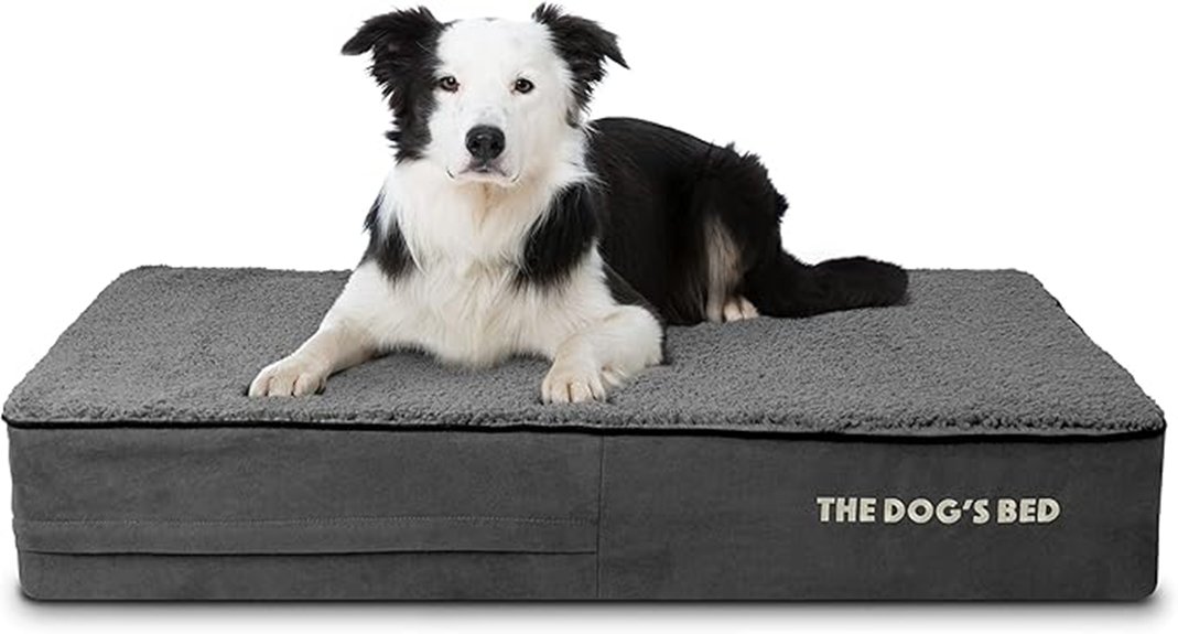 orthopedic memory foam dog bed
