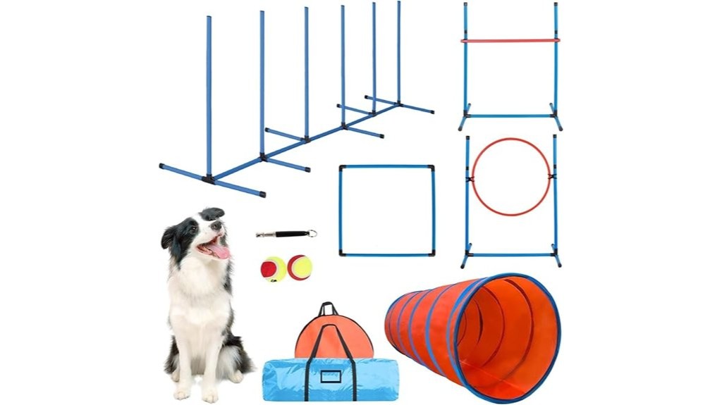 outdoor canine athletic obstacle course