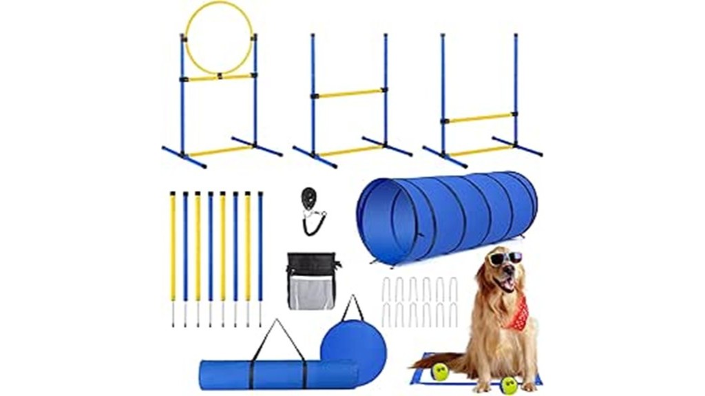 outdoor canine obstacle course setup