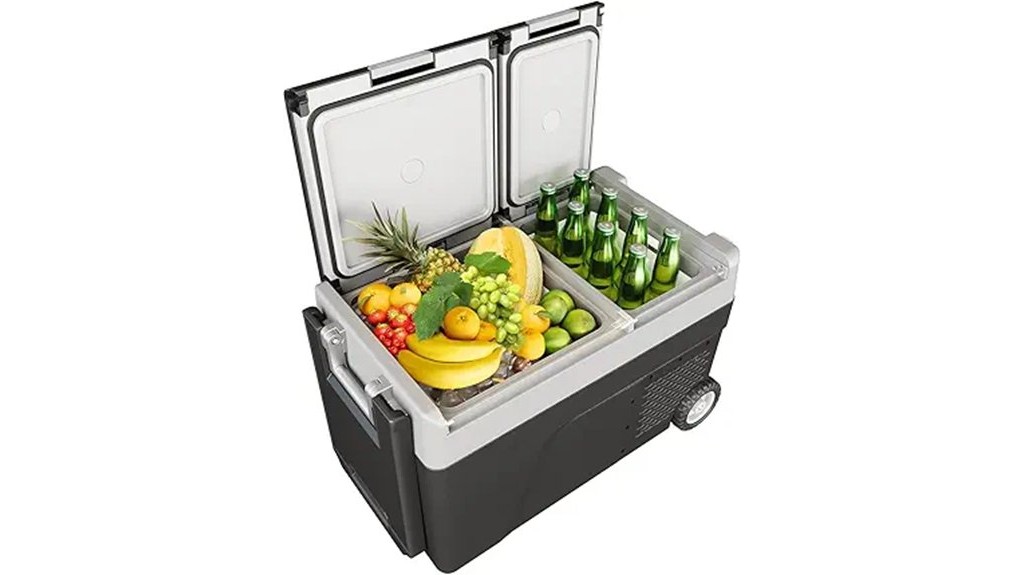portable car cold storage