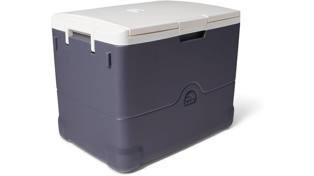 portable electric cooler box