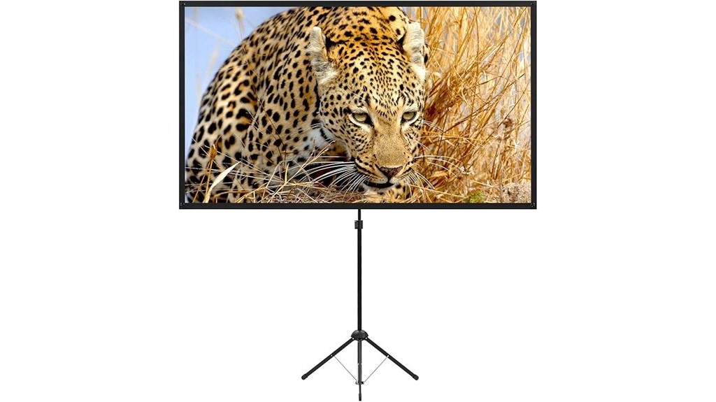 portable projector screen with stand