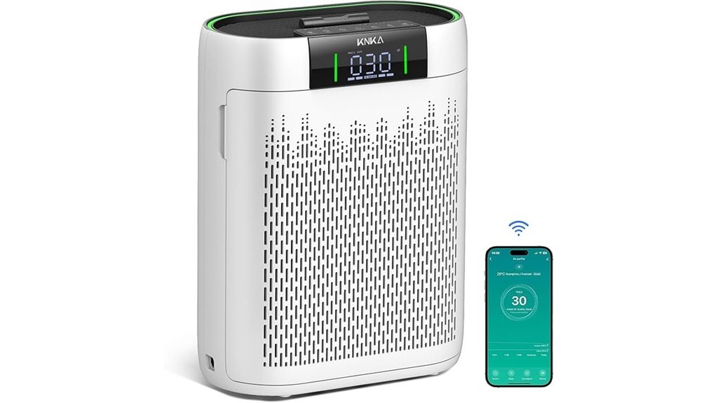 powerful air purifier for large rooms
